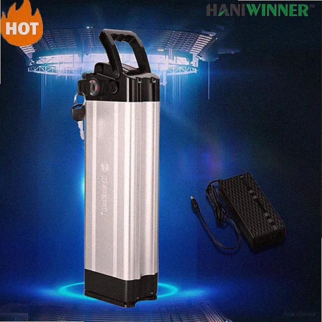 Sliverfish Battery 48V 12.5Ah (600Wh) Electric Bike Lithium Battery Replacement